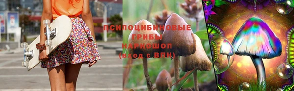 соль ск Медвежьегорск