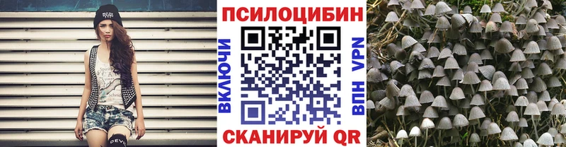 сайты даркнета как зайти  Петухово  Галлюциногенные грибы Magic Shrooms 